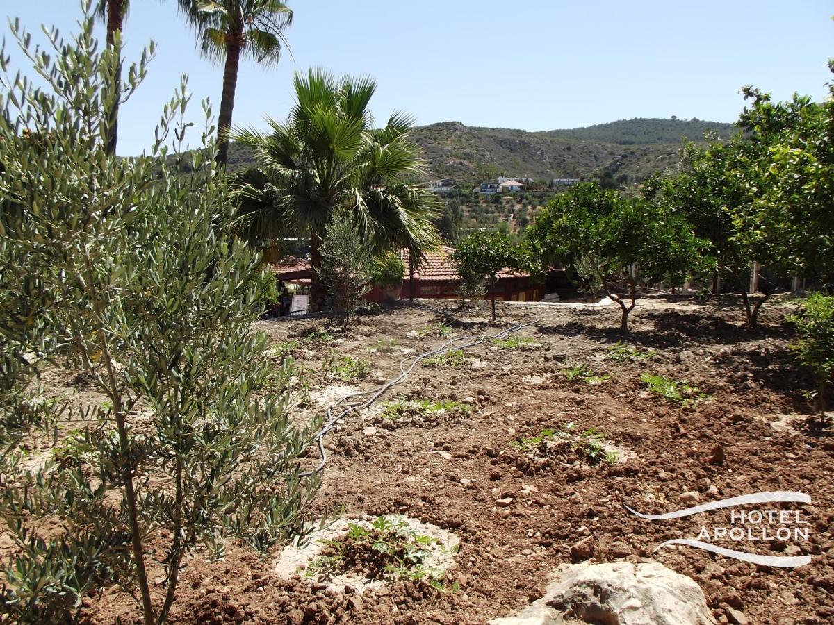 Apollon Hotel Patara Eksteriør bilde